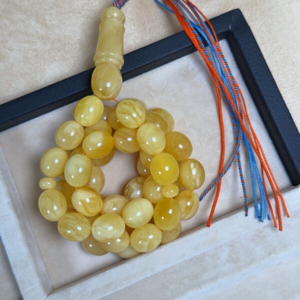 كهرمان كلنغرادي - جامبو